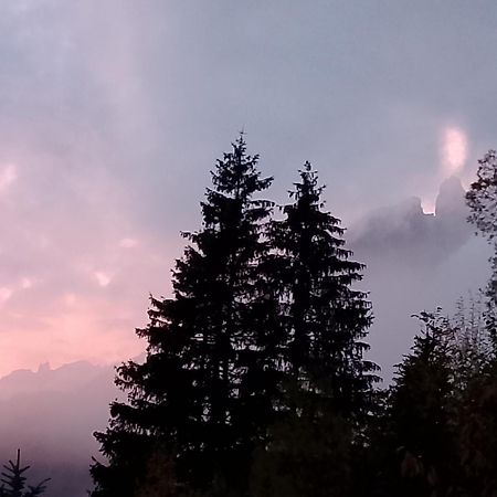 Appartamento Niki Campitello Campitello di Fassa Zewnętrze zdjęcie