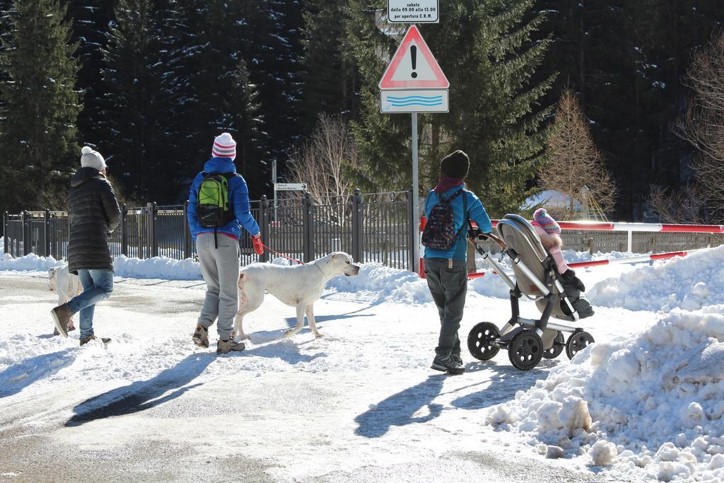 Appartamento Niki Campitello Campitello di Fassa Zewnętrze zdjęcie