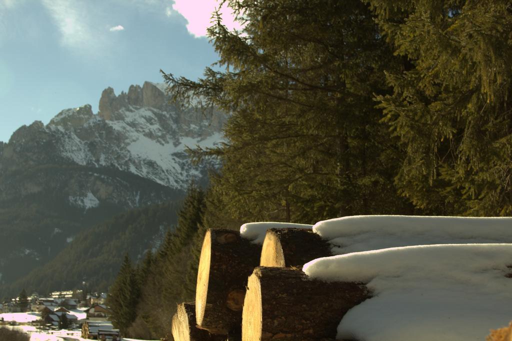 Appartamento Niki Campitello Campitello di Fassa Zewnętrze zdjęcie