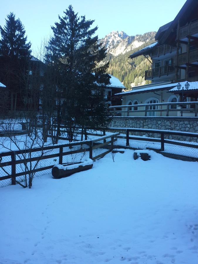 Appartamento Niki Campitello Campitello di Fassa Zewnętrze zdjęcie
